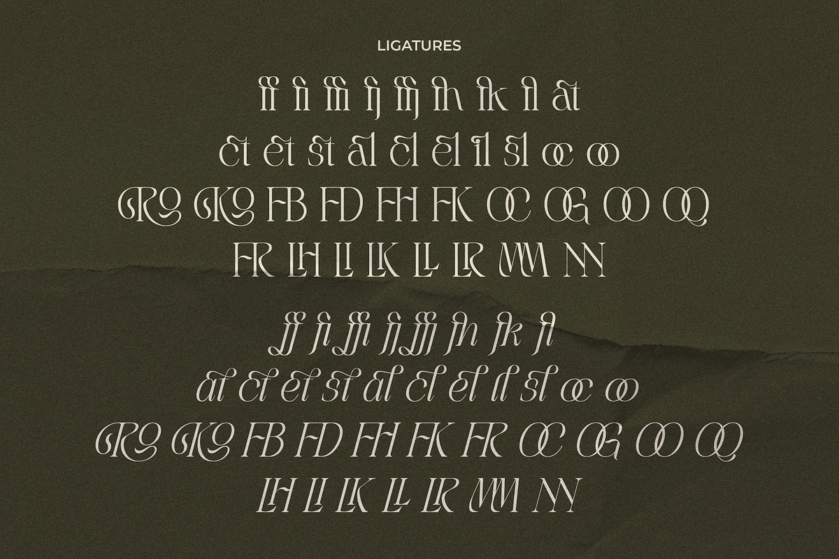 LT Rogile - Modern Serif Typeface, a Serif Font by Luminotype (Photo 17 of 20)