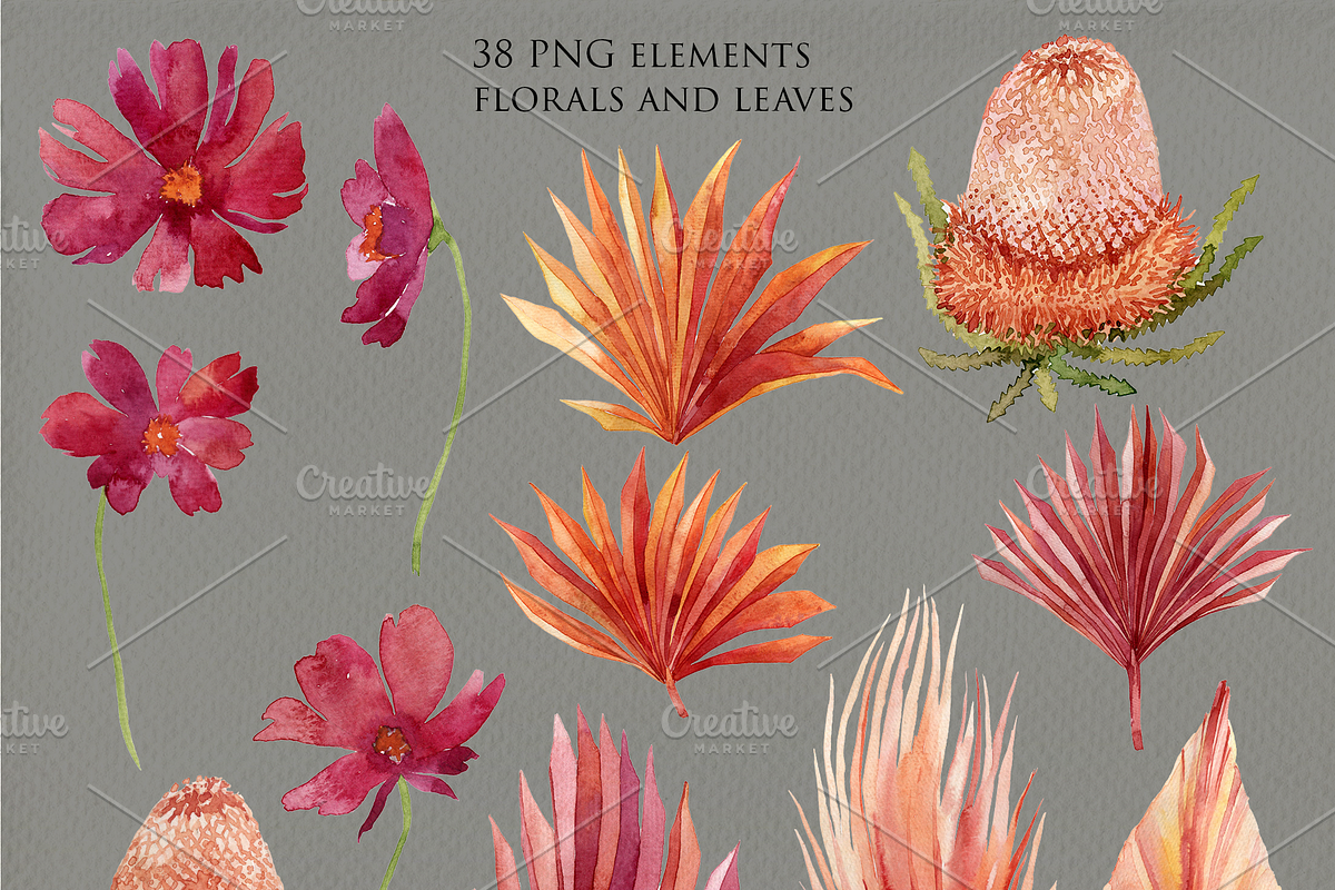 Autumn tropics floral set, a Decorative Illustration by Antikva17 (Photo 7 of 7)