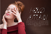 Homission Font, a Serif Font by 177Studio (Thumbnail 4 of 8)