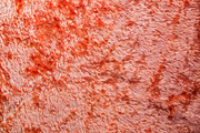 Wool and Fur Texture Wool Background, a Background Photo by VetalStock (Thumbnail 2 of 5)