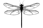 Dragonfly Silhouette, an Object Graphic by Designer_Momina (Thumbnail 20 of 20)
