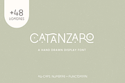 Catanzaro Ligature Display Font, a Sans Serif Font by Emma Webb Studio (Thumbnail 1 of 12)