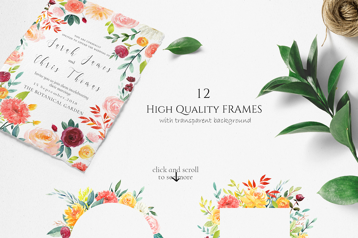 Watercolor Floral Set - Blossom, an Illustration by Pixavics (Photo 6 of 11)