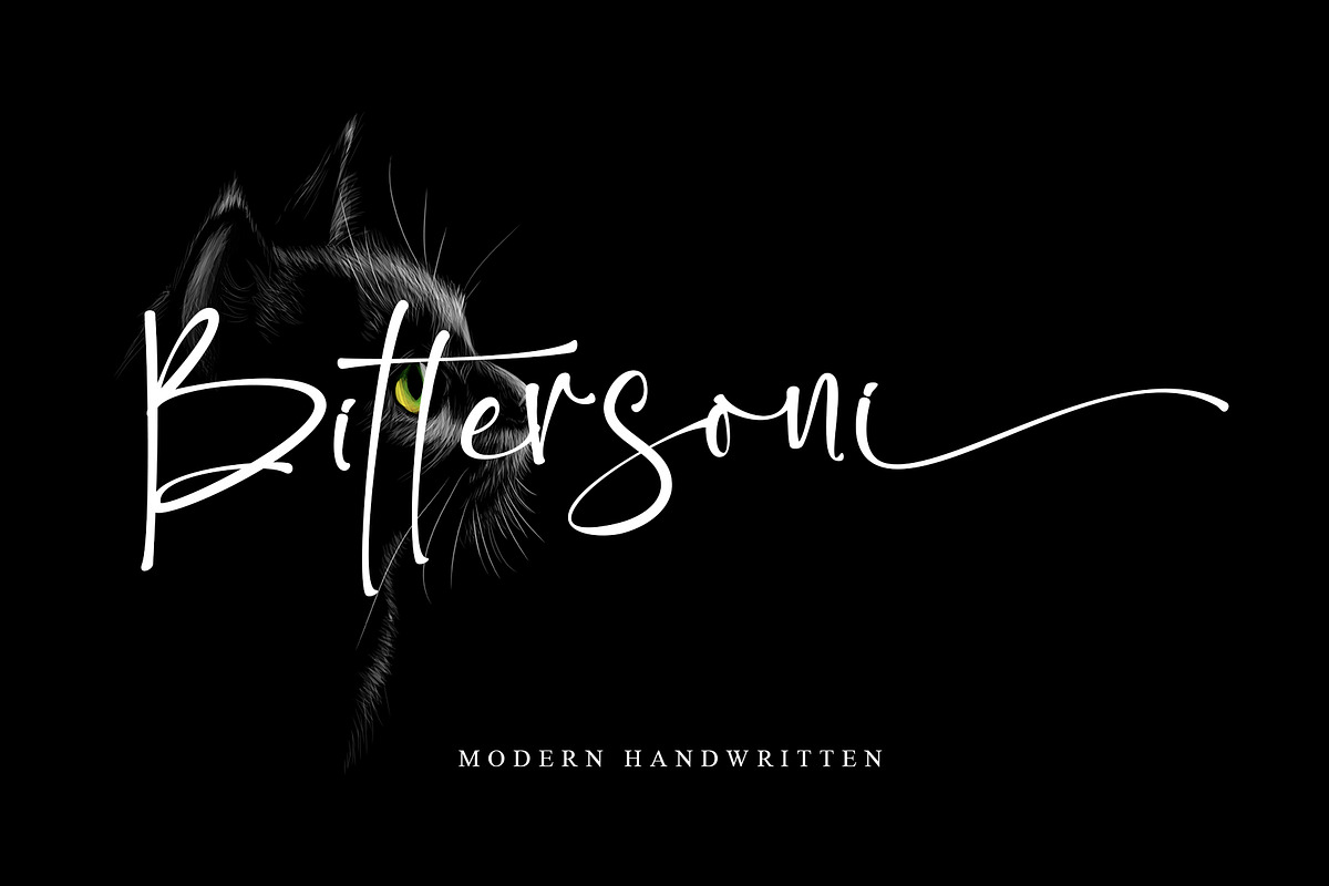 Bittersoni, a Script Font by Letterara (Photo 1 of 11)