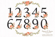 Peach Floral Numbers With Vectors, an Illustration by Amanda Ilkov (Thumbnail 1 of 5)