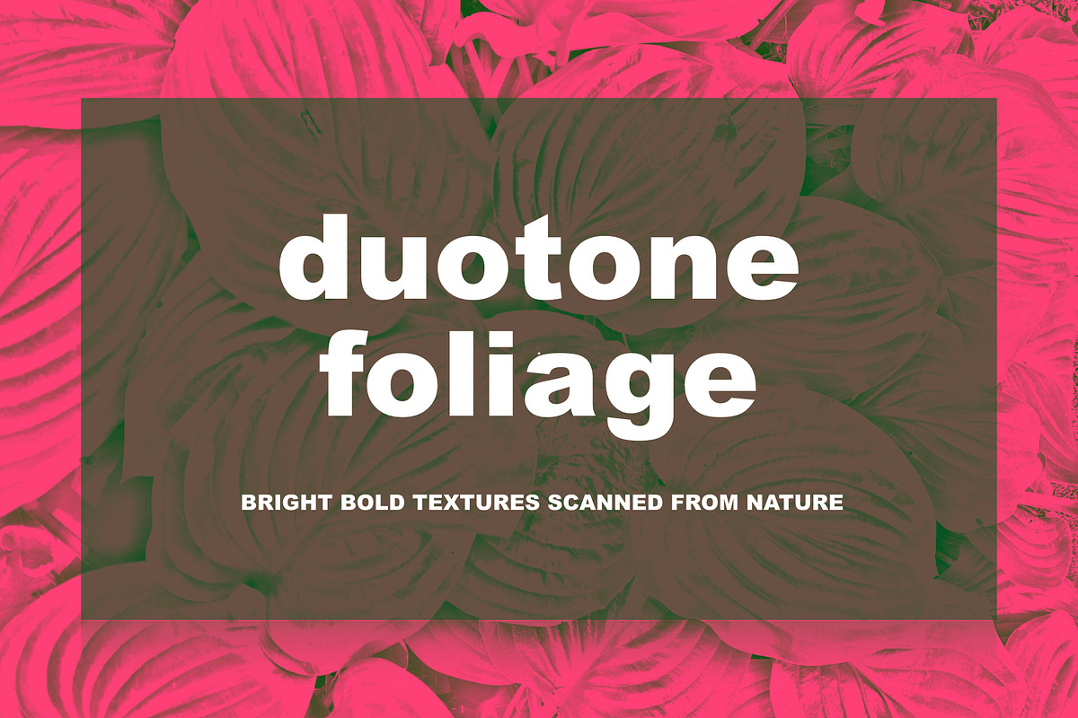 Duotone Foliage, a Texture Graphic by maggiereuter (Photo 1 of 6)