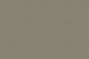 Seamless wood texture pattern, a Pattern Graphic by Queen of Infographics (Thumbnail 4 of 4)