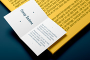 Anicon Slab, a Slab Serif Font by NREY (Thumbnail 6 of 9)