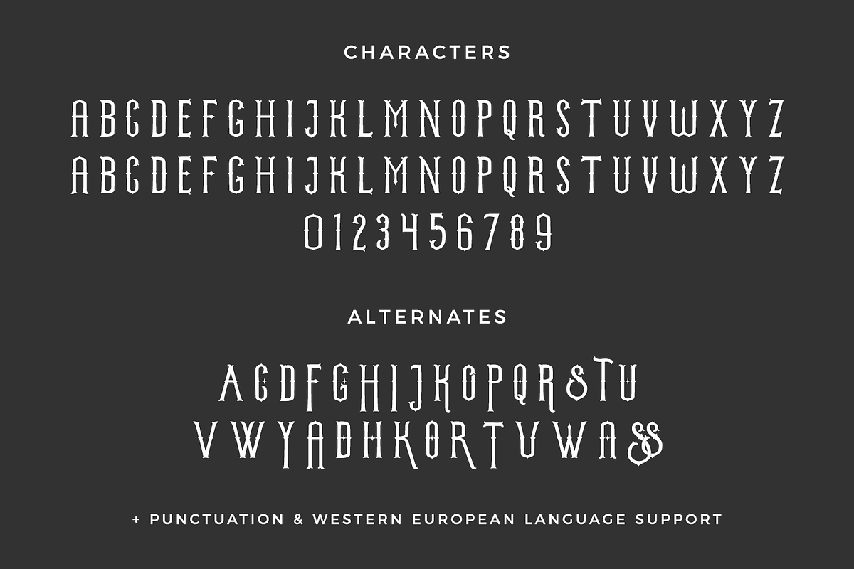 Witchborne Serif - A Tarot Card Font, a Serif Font by Beck McCormick (Photo 10 of 10)