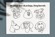 30 Dogs line drawings. Dog breeds, an Outline Icon by velychko.ua (Thumbnail 5 of 9)
