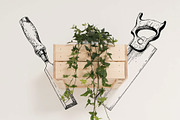 Vintage Hand Tools Illustrations, an Illustration by Hatch Design Workshop (Thumbnail 2 of 7)
