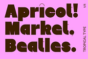 Willow Sans, a Sans Serif Font by Tropical Type (Thumbnail 3 of 11)