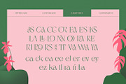 Jaella - Modern Serif Font, a Serif Font by creativemedialab (Thumbnail 13 of 15)