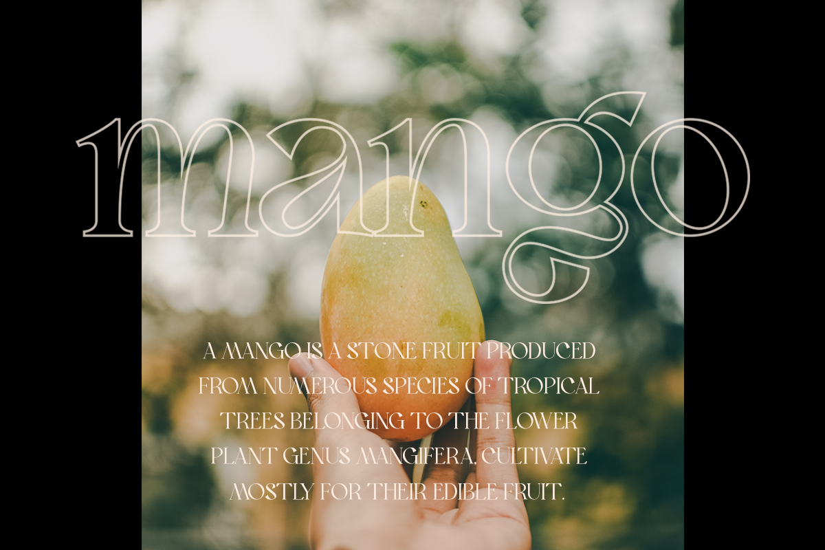 Bon Foyage - Vintage Modern Serif, a Serif Font by Dharmas Foundry (Photo 8 of 15)