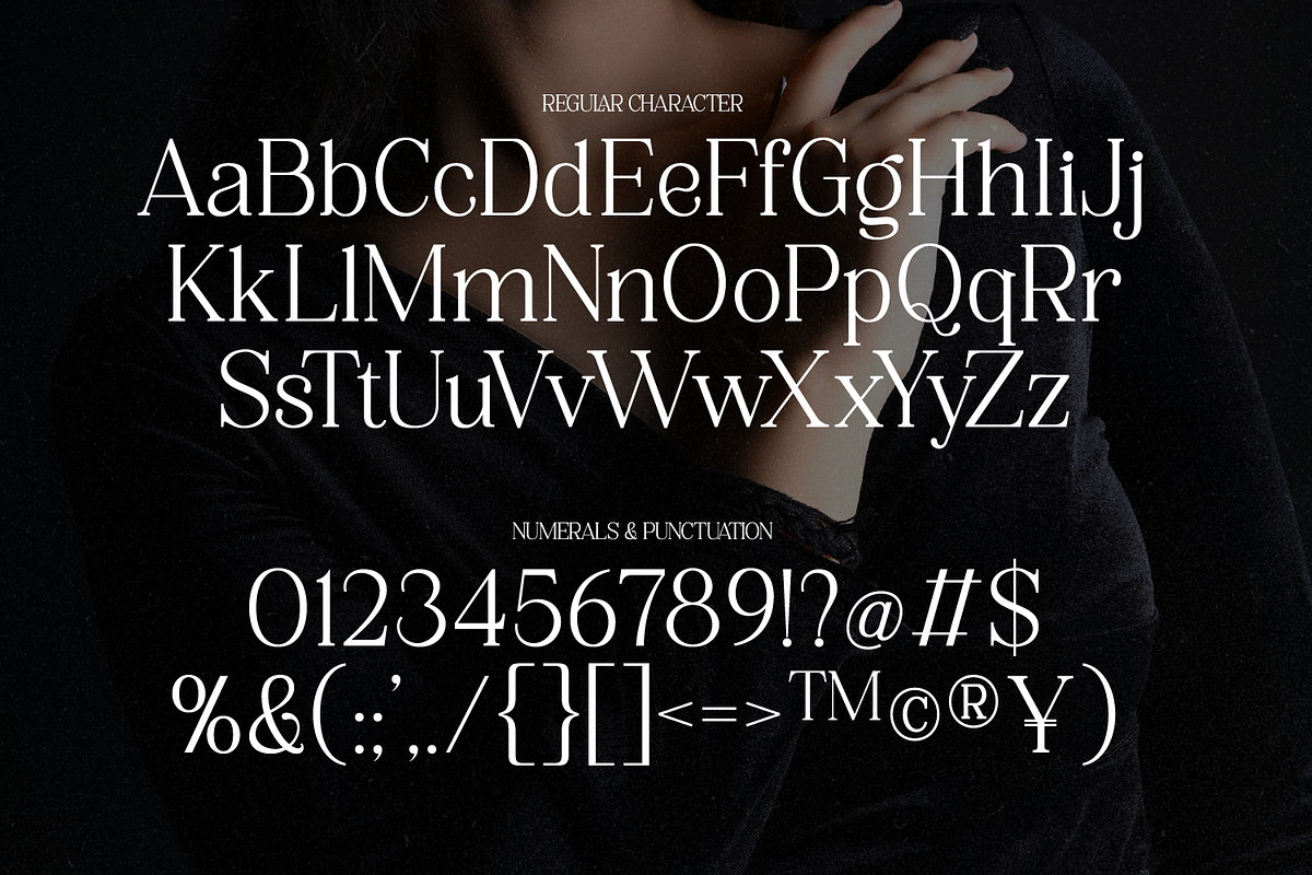 Karlina Modern Elegant, a Serif Font by Haps Space (Photo 8 of 10)