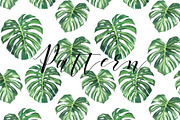 Tropical. Watercolor patterns., a Pattern Graphic by Anyuka (Thumbnail 8 of 10)