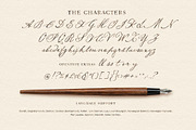 Nightingale Script, a Script Font by Nicky Laatz (Thumbnail 9 of 10)
