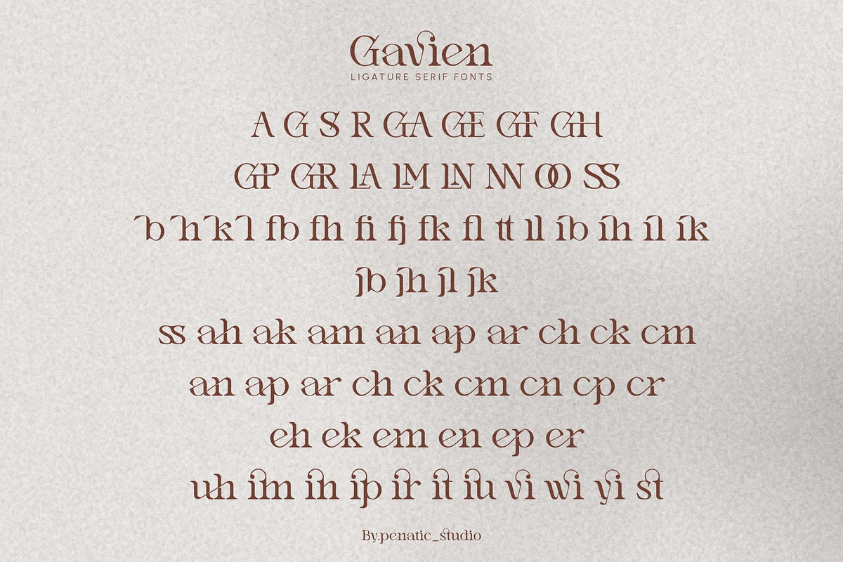 Gavien _ Ligature Serif Font, a Serif Font by Penatic Studio (Photo 8 of 10)