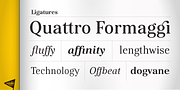 Kostic Serif, a Serif Font by Kostic Type Foundry (Thumbnail 3 of 9)