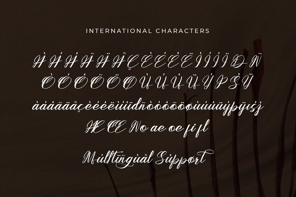 Emeline, a Script Font by Goresan Studio (Photo 11 of 15)