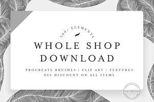 500+ Procreate Elements - 80% OFF
