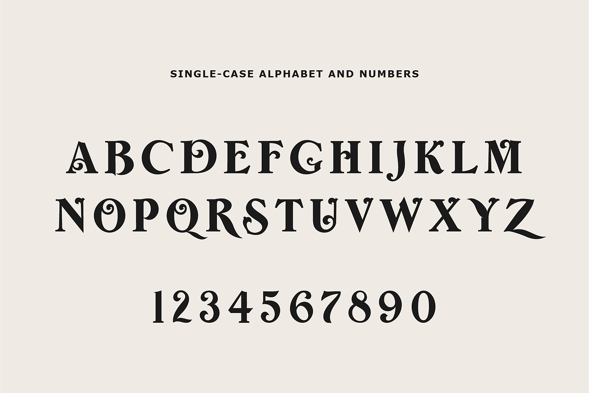 Wolff Swash - Bold Serif Font, a Serif Font by Wolff Design Co. (Photo 2 of 8)
