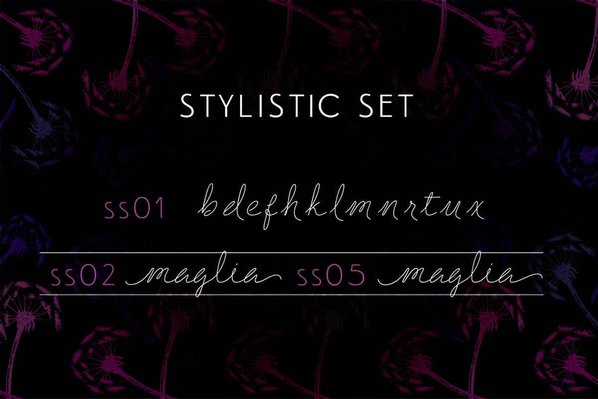 BLACK FRIDAY Delirio Font Family, a Script Font by graffistyling (Photo 17 of 20)