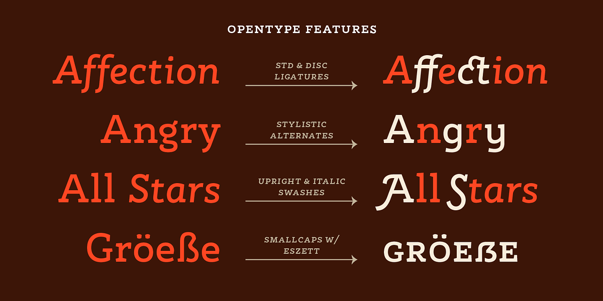 Rogliano Pro, a Slab Serif Font by Untype (Photo 15 of 26)