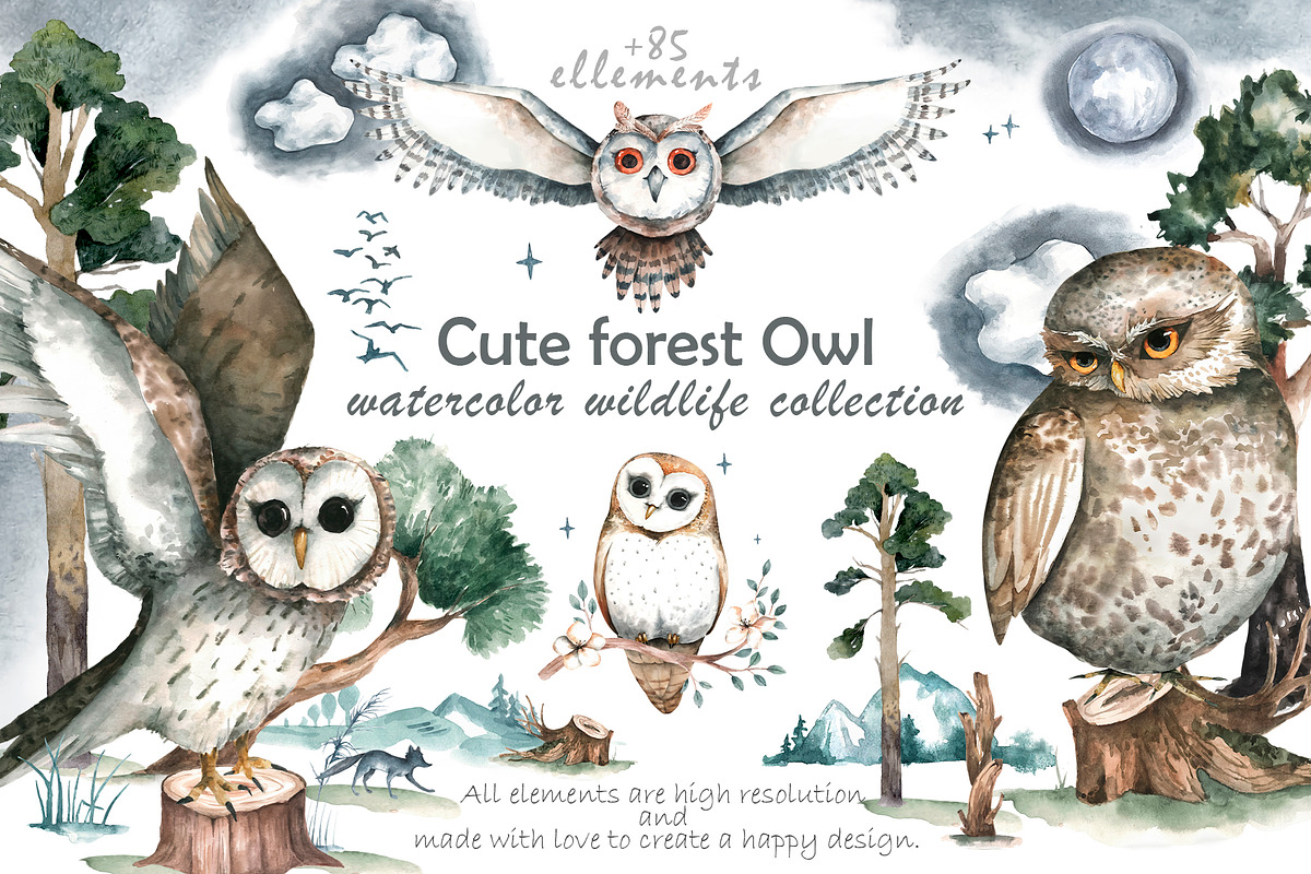 Cute forest owl. Wildlife watercolor, an Animal Illustration by Ann Art Houze (Photo 1 of 10)