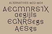 Pagers - Display Serif, a Serif Font by tebaltipislab (Thumbnail 12 of 15)
