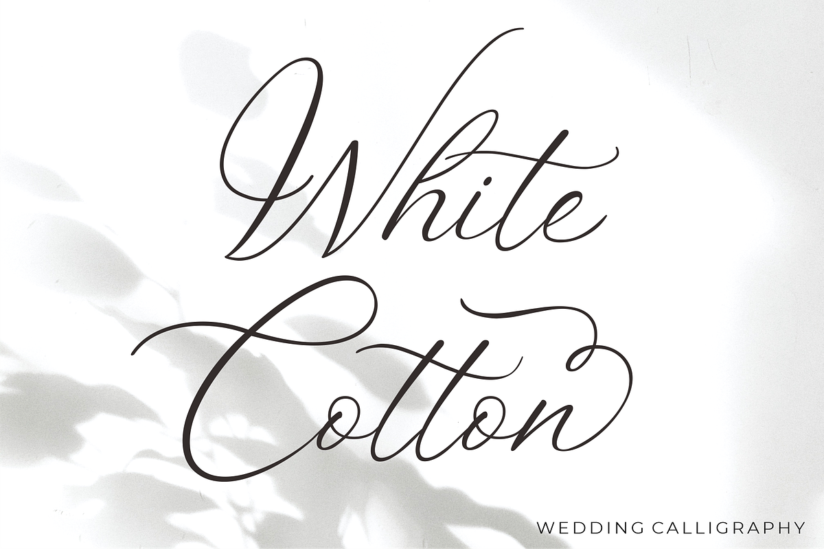 White Cotton - Wedding Fonts, a Script Font by 50Fox (Photo 1 of 18)