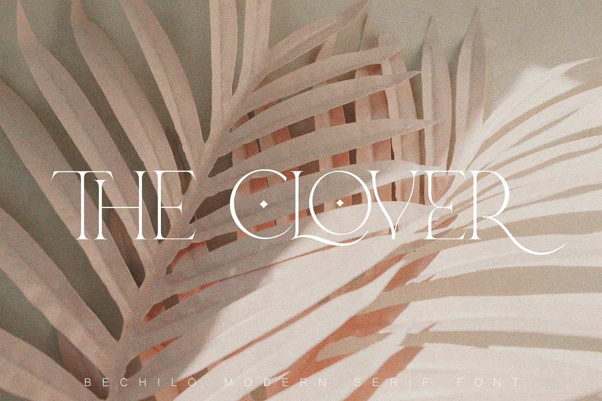 Bechilo – Modern Serif Font, a Serif Font by Yahya Type (Photo 14 of 25)
