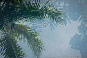 Travels in Bali #4