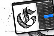 Flat Lettering Brushes. Procreate, a Brush Add-On by Diacritics (Thumbnail 8 of 8)