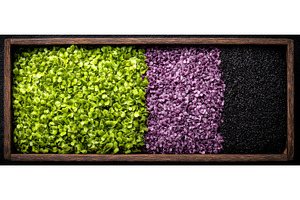 A variety of freshly cut microgreens, a Food & Drink Photo by ZinetroN