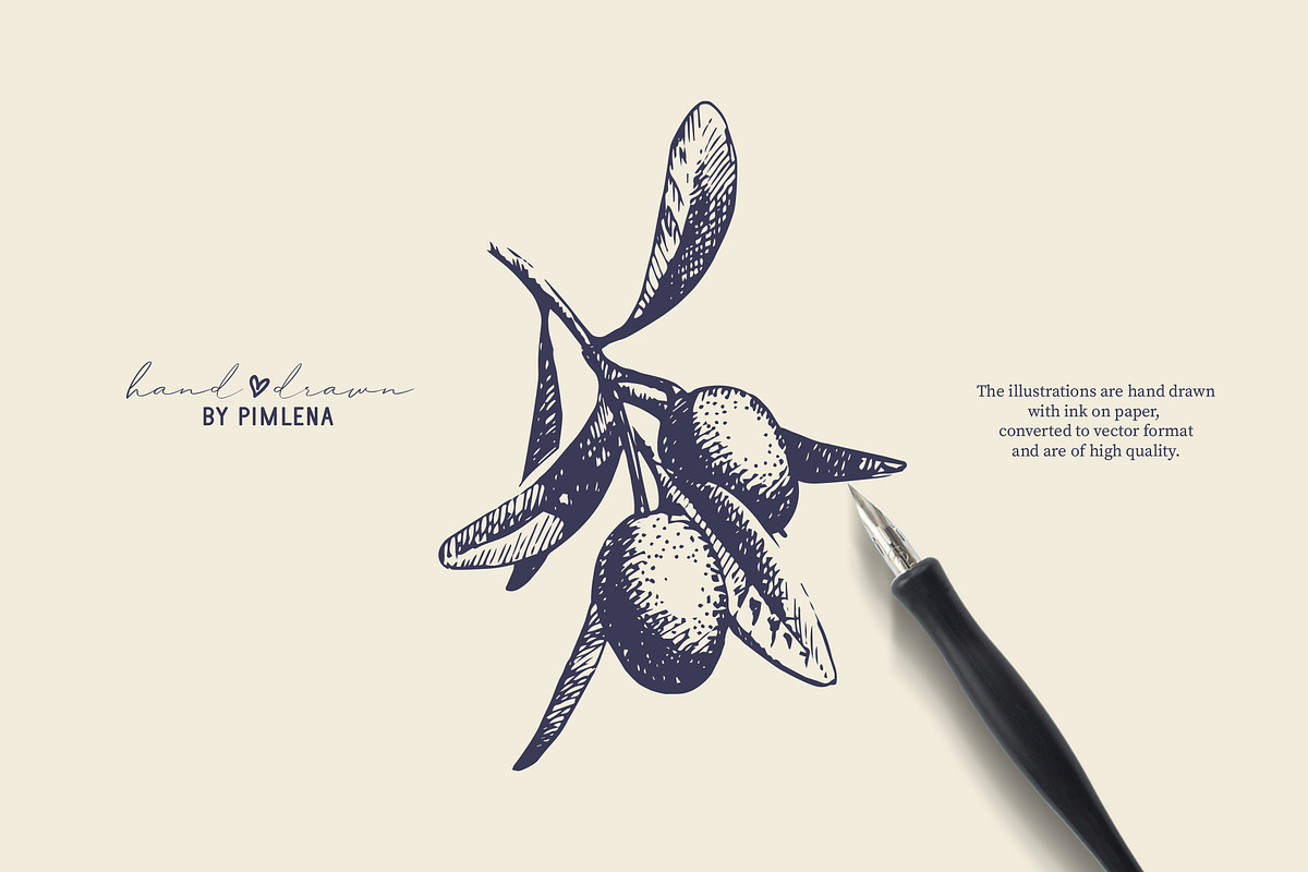 Vintage Olive Hand Drawn Collection, a Food Illustration by Elena Pimonova (Photo 5 of 5)