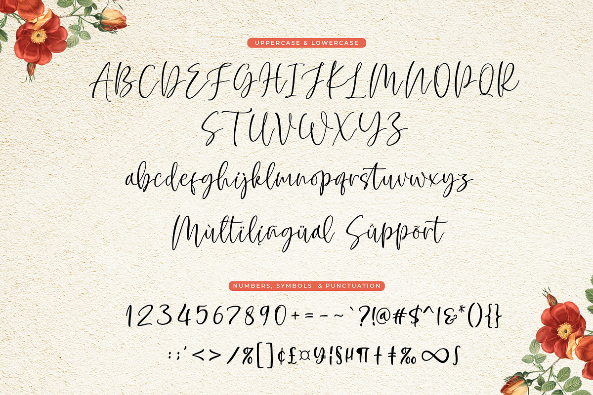 Hollidely | a handwritten script, a Script Font by Beautypes (Photo 6 of 10)