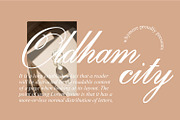 Palominey Wedding Script Font, a Script Font by WhymoreArt (Thumbnail 5 of 10)