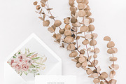 Dusty Roses Boho Watercolor, an Object Illustration by Olga Koelsch (Thumbnail 4 of 13)