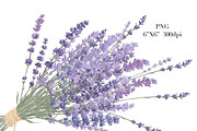 Lavender watercolor flower clipart., a Decorative Illustration by NKTKNS (Thumbnail 5 of 7)