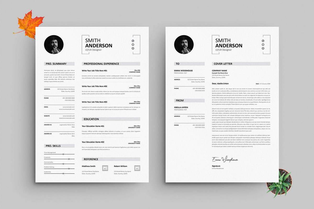 Modern Executive Resume Template