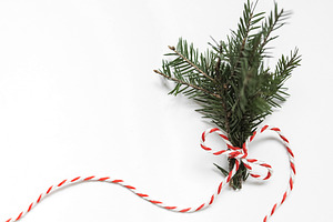 Spruce branch tied with ribbon stock