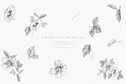 Charcoal Florals, an Illustration by Create The Cut (Thumbnail 3 of 5)