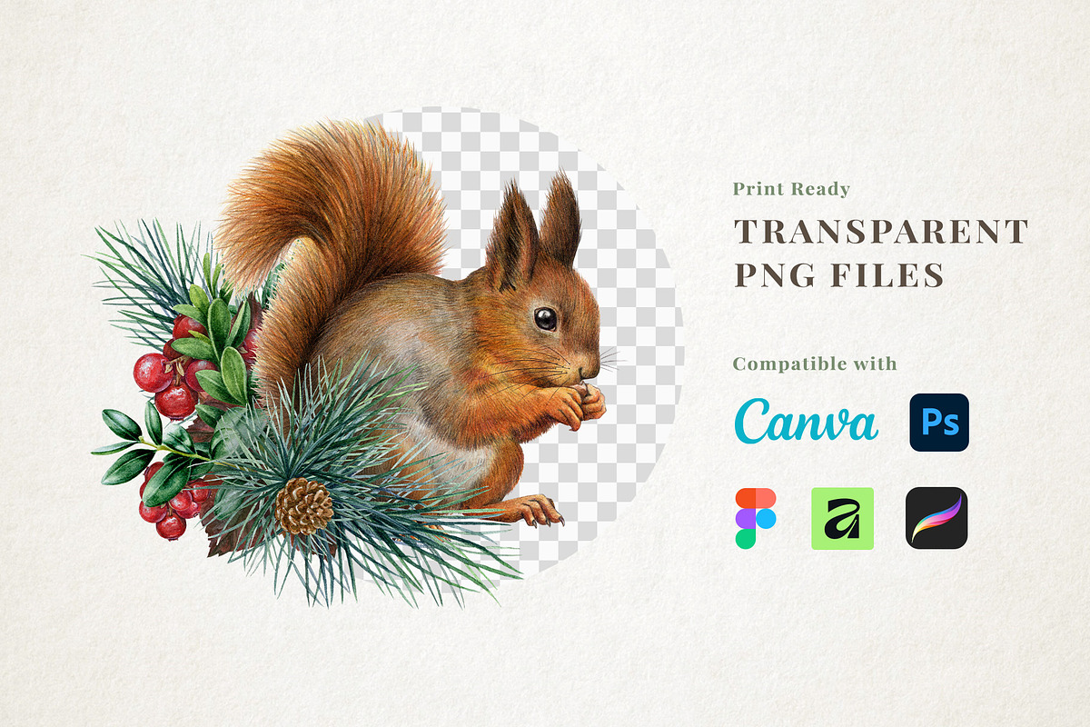 Woodland Animals Watercolor Clipart, an Animal Illustration by AnitaPol (Photo 5 of 17)