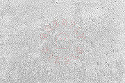 Dithered Pixel Textures, a Texture Graphic by GhostlyPixels (Thumbnail 9 of 12)