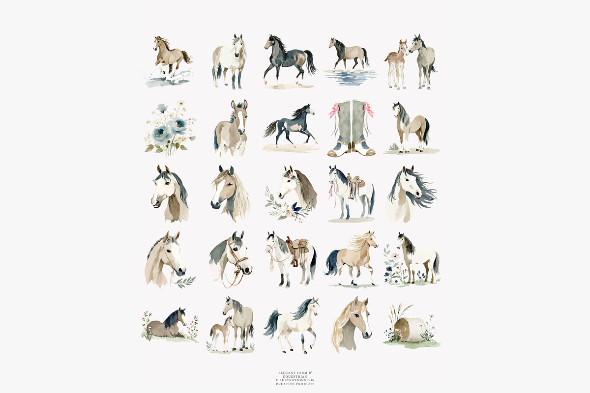 horse clipart horse illustration set, an Illustration by Patishop Art (Photo 9 of 10)