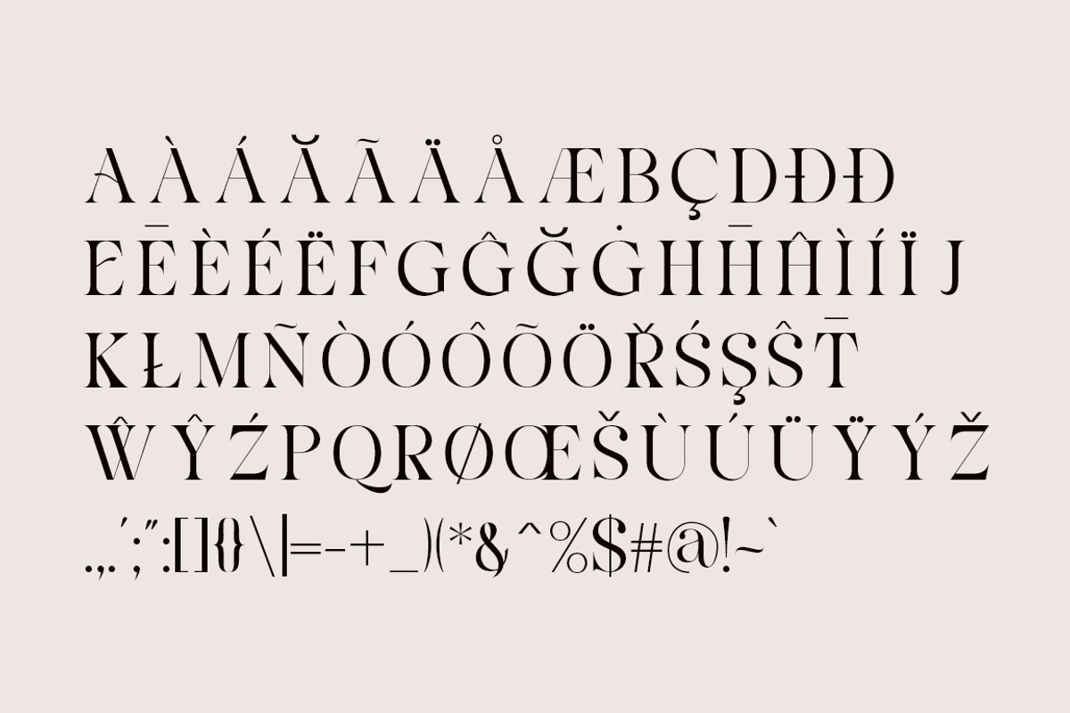 Analogist, a Serif Font by Gatype (Photo 8 of 9)