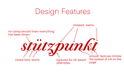 Bodoni Terracina Full Family 6 Fonts, a Script Font by California Type Foundry (Thumbnail 3 of 10)