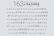Schrödinger's | Signature Font, a Script Font by Ardana Creative (Thumbnail 10 of 12)