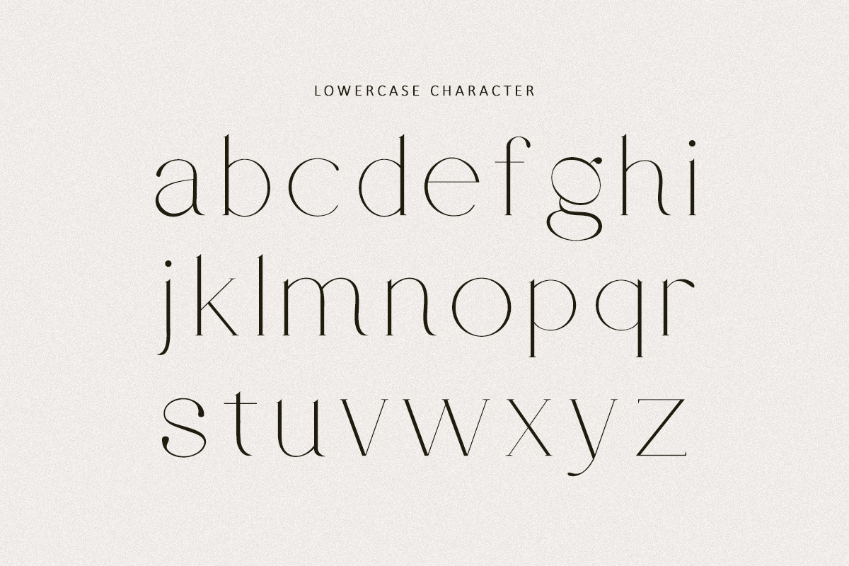 Leony - Elegant Serif, a Serif Font by Tammami (Photo 4 of 12)